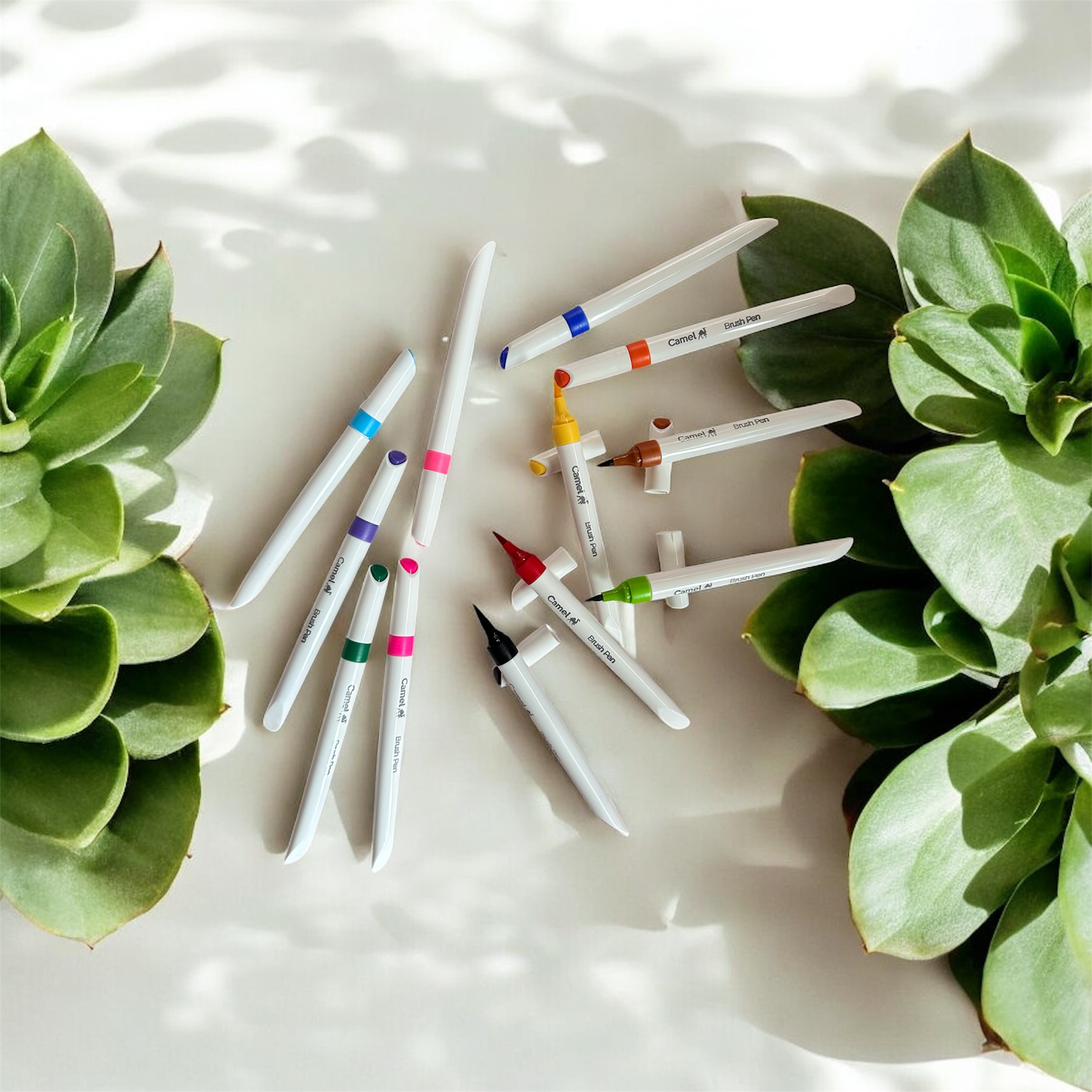 Brush Pens 12 Shades (Pack of 12)