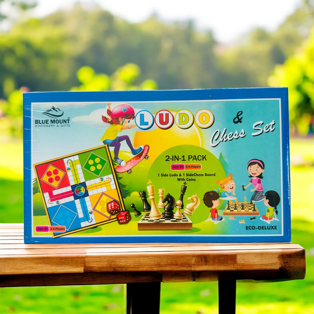 Ludo & Chess set