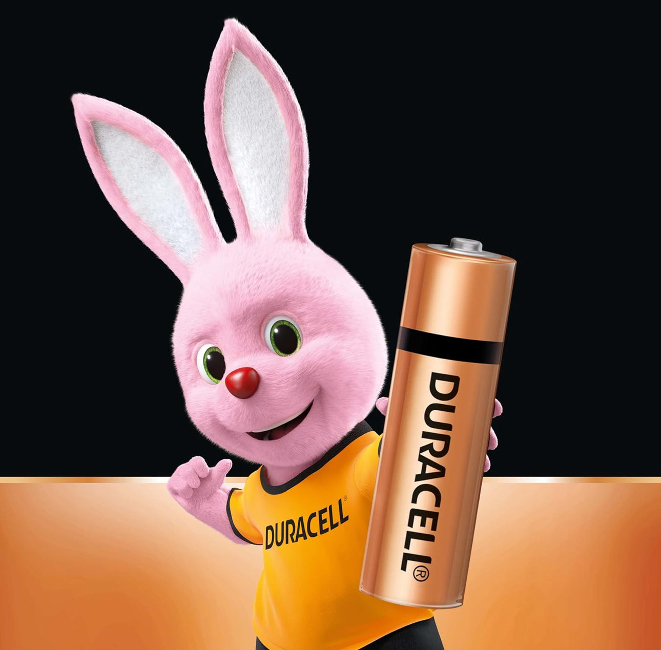Duracell AA Alkaline Battery – Long-Lasting Power | Pack of 1