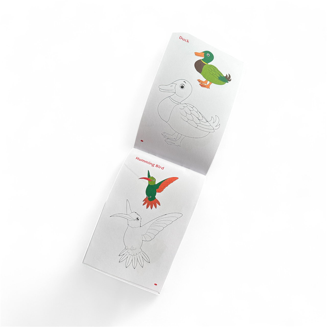 Silky Birds: Fun in Colour