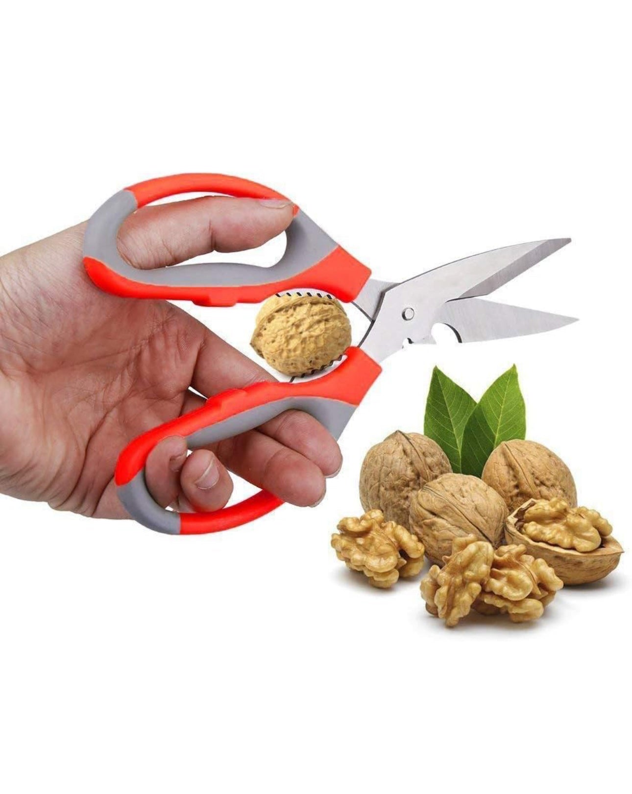 Lords fish cutter – 8.3 Inch (210 mm)kitchen sissors