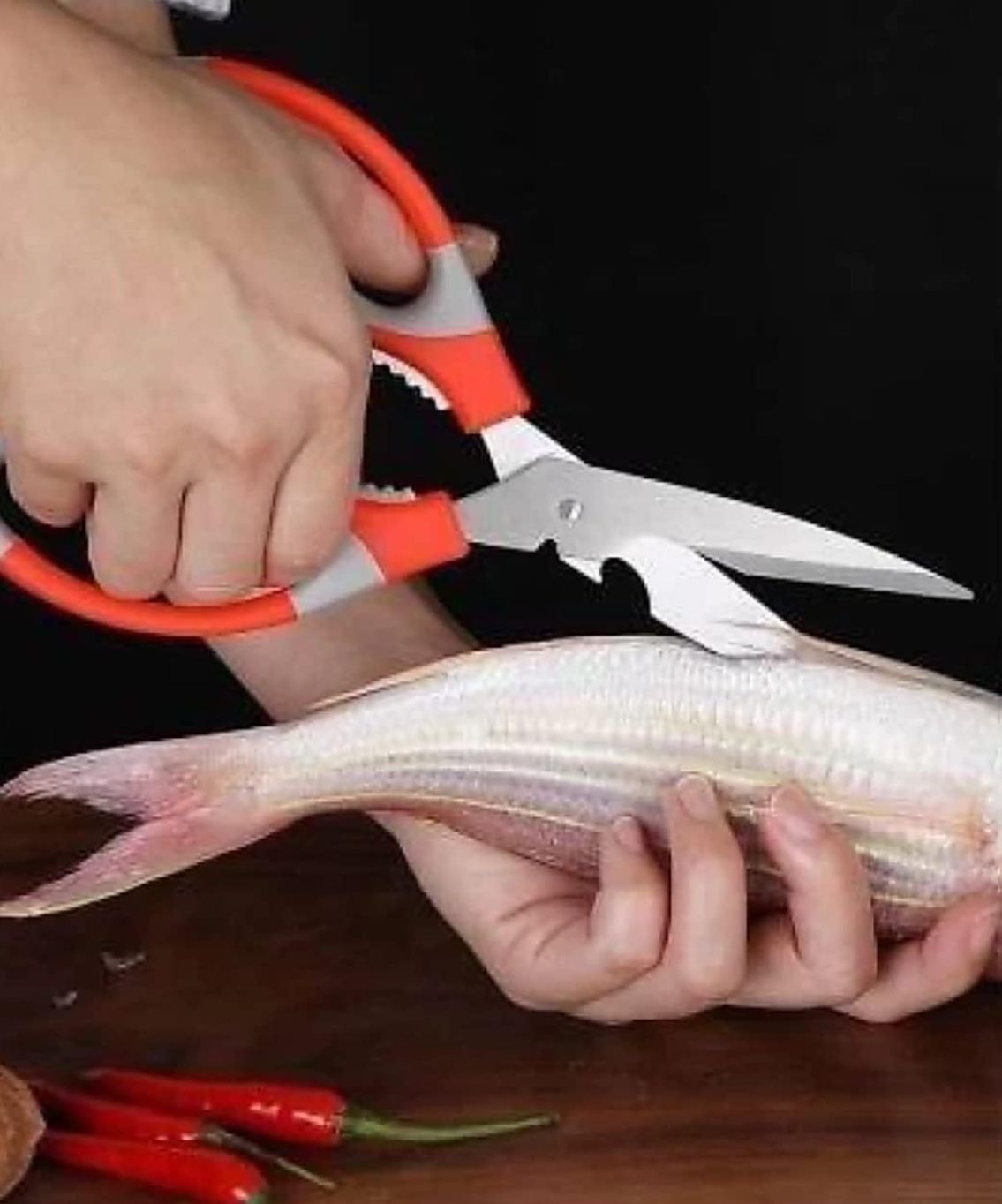 Lords fish cutter – 8.3 Inch (210 mm)kitchen sissors