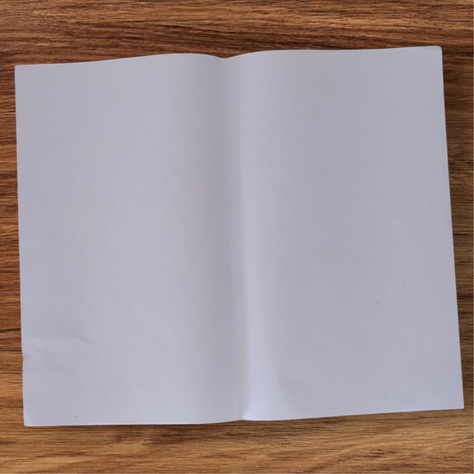 TNPL Exam paper| unruled| 24pieces