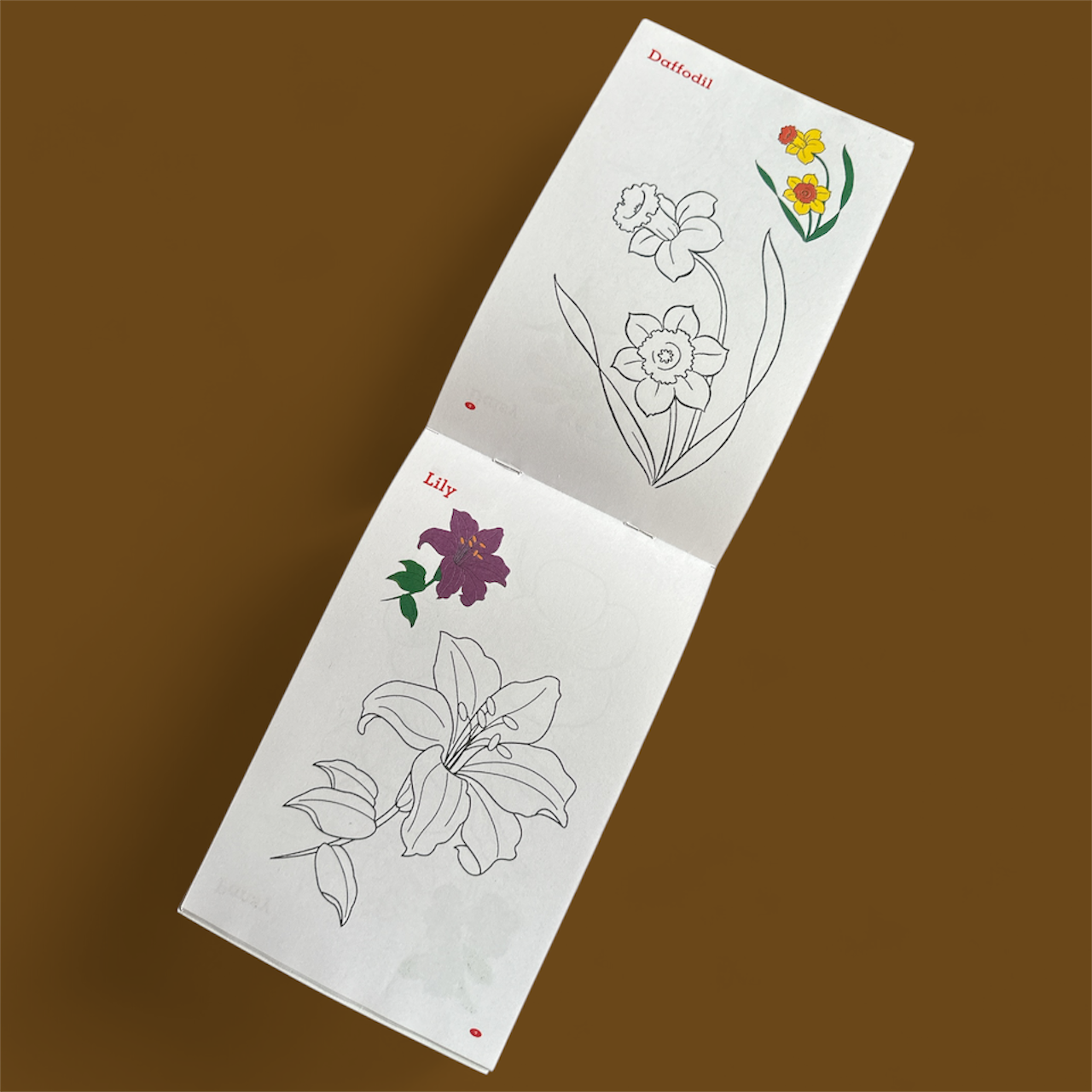 Colouring Books- That Build Early Creativity & Learning