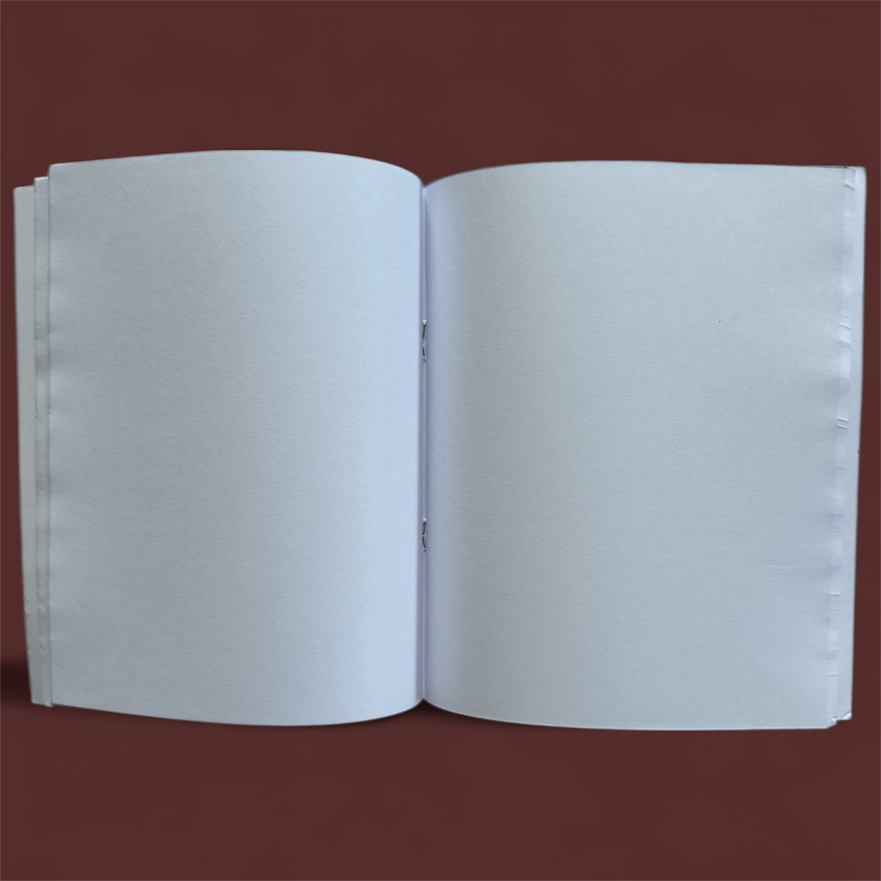 Classmate Exercise Book – 172 Pages, 19 × 15.5 cm | Unruled | High-Quality Paper for Notes, school note book